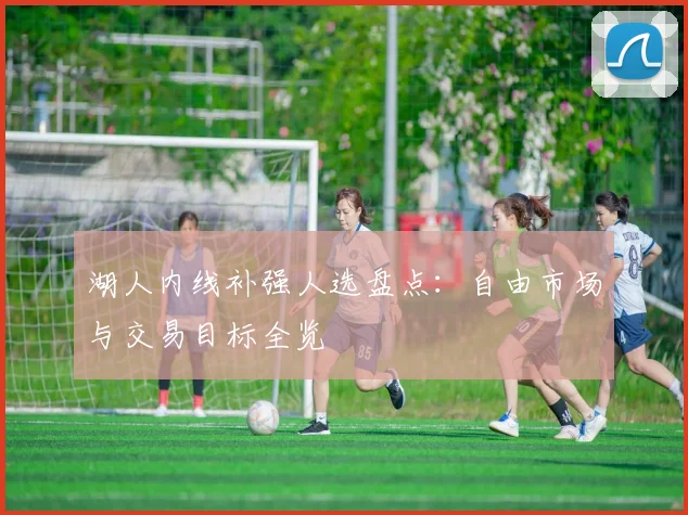 湖人内线补强人选盘点:自由市场与交易目标全览